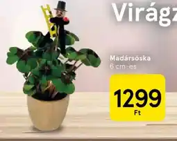 Tesco Madársóska ajánlat
