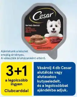 Tesco Cesar alutálcás, alutasakos kutyaeledelt, és a legolcsóbbat ajánlat