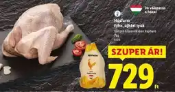Lidl HÚSFARM Friss, újházi tyúk ajánlat