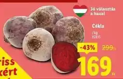 Lidl Cékla ajánlat