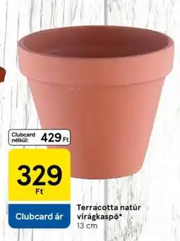Tesco Terracotta natúr virágkaspó ajánlat