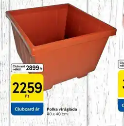 Tesco Polka virágláda ajánlat