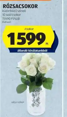 ALDI RÓZSACSOKOR ajánlat