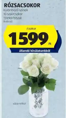 ALDI RÓZSACSOKOR ajánlat