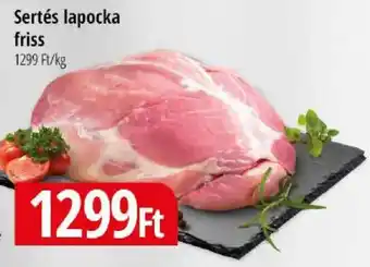 Sertés lapocka friss