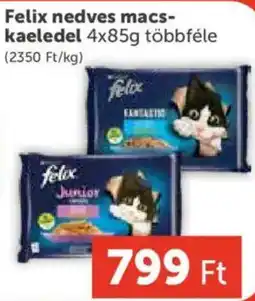 PRIVÁT Felix nedves macs- kaeledel ajánlat