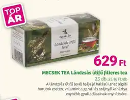 Herbaház MECSEK TEA Lándzsás útifű filteres tea ajánlat