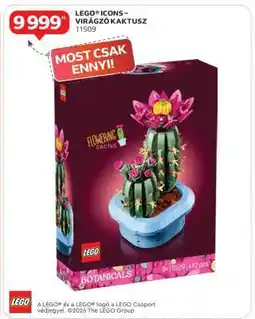 Auchan LEGO ICONS – VIRÁGZÓ KAKTUSZ ajánlat