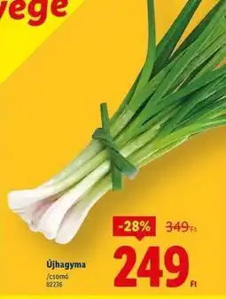 Lidl Újhagyma ajánlat