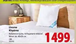 Lidl Livarno Kispárna ajánlat