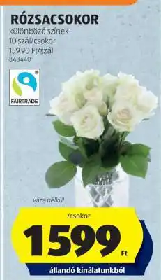ALDI RÓZSACSOKOR ajánlat