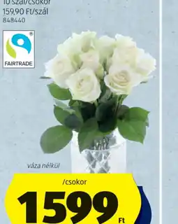 ALDI RZSASOKOR ajánlat