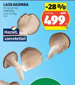 ALDI LASKAGOMBA ajánlat