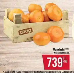 Coop Mandarin ajánlat