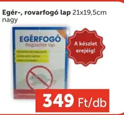 PRIVÁT Egér-, rovarfogó lap ajánlat