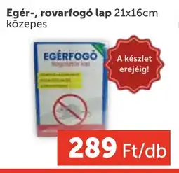 PRIVÁT Egér-, rovarfogó lap ajánlat