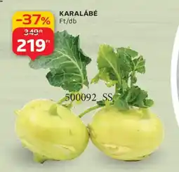 Auchan KARALÁBÉ ajánlat