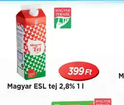 Real Magyar ESL tej 2,8% ajánlat