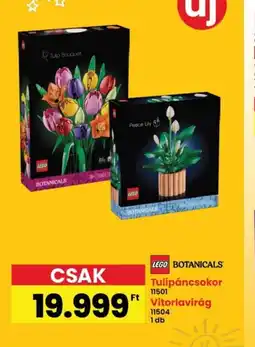 Interspar LEGO Botanicals virág szett ajánlat