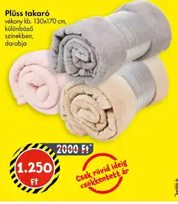 Tedi Plüss takar ajánlat