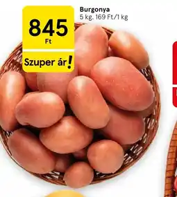 Tesco Burgonya ajánlat