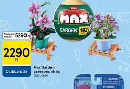 Tesco Max Garden cserepes virág ajánlat