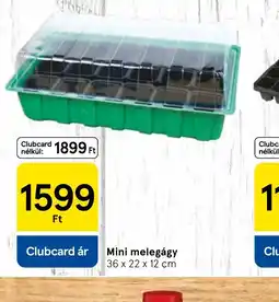 Tesco Mini melegágy ajánlat