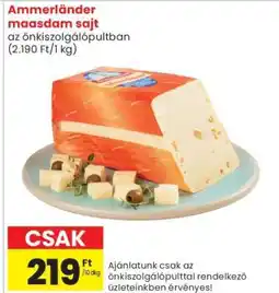 Spar Ammerländer maasdam sajt ajánlat
