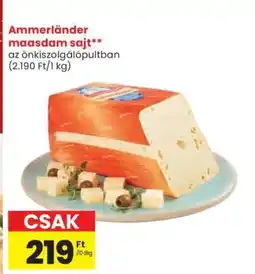 Spar Ammerländer maasdam sajt ajánlat