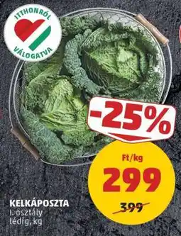 PENNY Kelkáposzta ajánlat