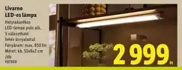 Lidl Livarno LED-es lámpa ajánlat