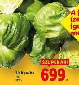 Lidl Bio jégsaláta ajánlat