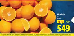 Lidl Mandarin ajánlat