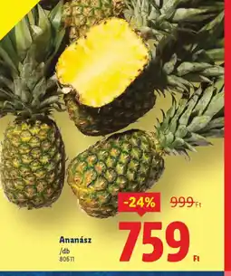 Lidl Ananász ajánlat
