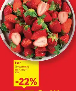 Lidl Eper ajánlat