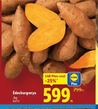Lidl Édesburgonya ajánlat