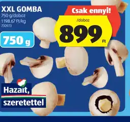 ALDI XXL GOMBA ajánlat