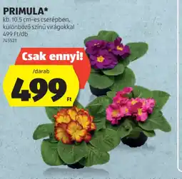 ALDI PRIMULA ajánlat