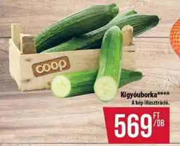 Coop Kígyóuborka ajánlat