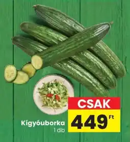 Spar Kígyóuborka ajánlat