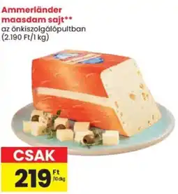 Spar Ammerländer maasdam sajt ajánlat