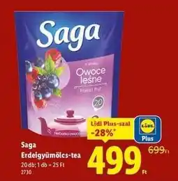 Lidl Saga Erdeigyümölcs-tea ajánlat