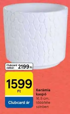 Tesco Kerámia kaspó ajánlat