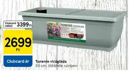 Tesco Torenie virágláda ajánlat