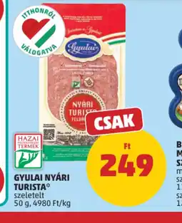 PENNY GYULAI NYÁRI TURISTA ajánlat