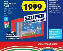ALDI PILSANI TRAPPISTA SAJT ajánlat