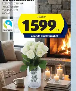 ALDI RZSACSOKOR ajánlat