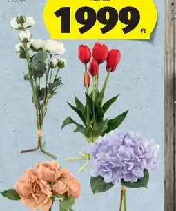 ALDI HOME CREATION MŰVIRÁGCSOKOR ajánlat