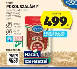 ALDI GYULAI POKOL SZALÁMI ajánlat
