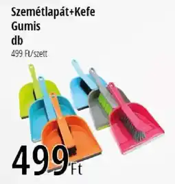 Real Szemétlapát+Kefe Gumis ajánlat
